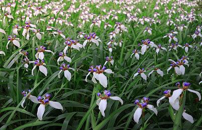 国外网友分享95年原版虚幻引擎技术演示视频